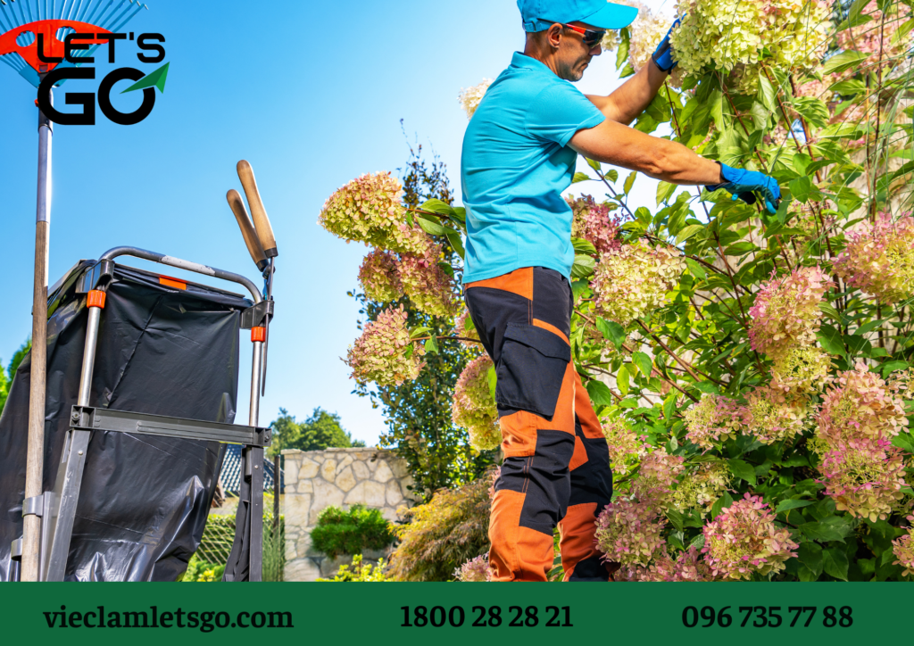 Chuyển đổi số (digital) trong quy trình tuyển dụng lao động thời vụ