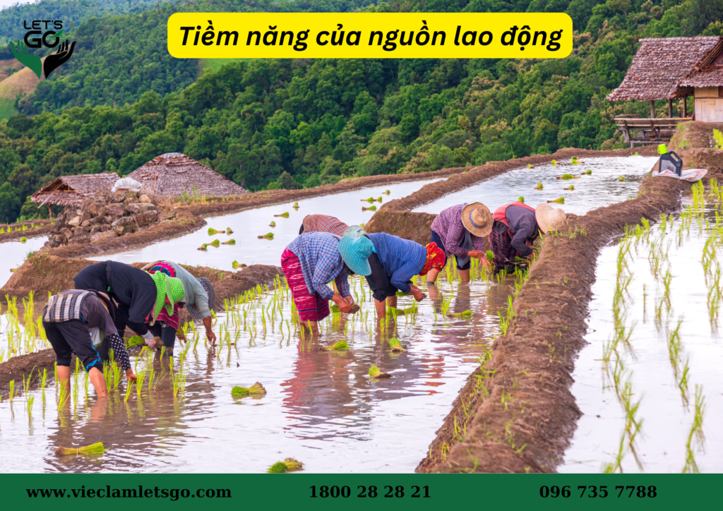 tuyển dụng