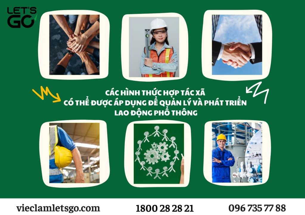 Các hình thức hợp tác xã có thể được áp dụng để quản lý và phát triển lao động phổ thông