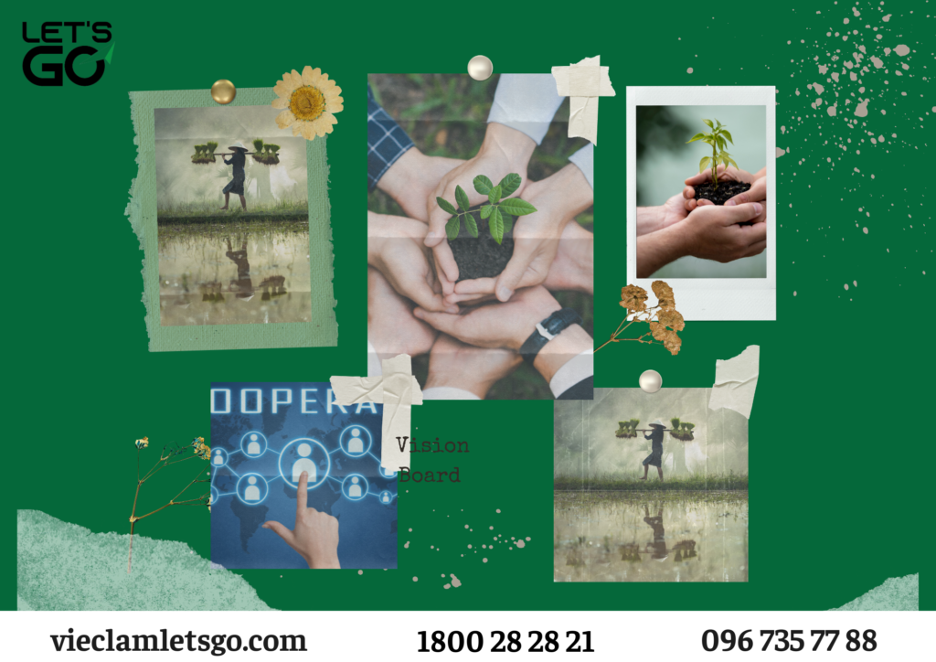 Các hình thức hợp tác xã có thể được áp dụng để quản lý và phát triển lao động phổ thông