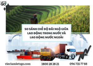 So sánh chế độ đãi ngộ giữa lao động phổ thông trong nước và nước ngoài