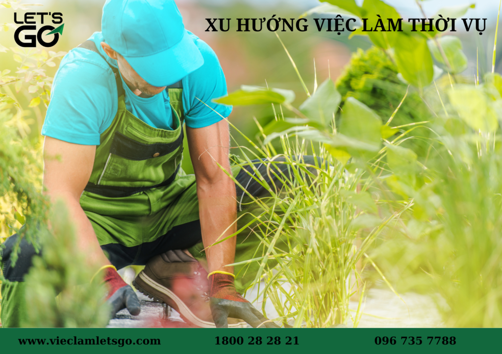 việc làm thời vụ