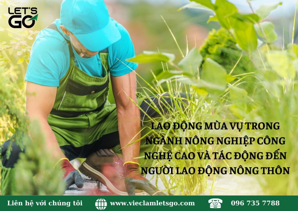 lao động mùa vụ