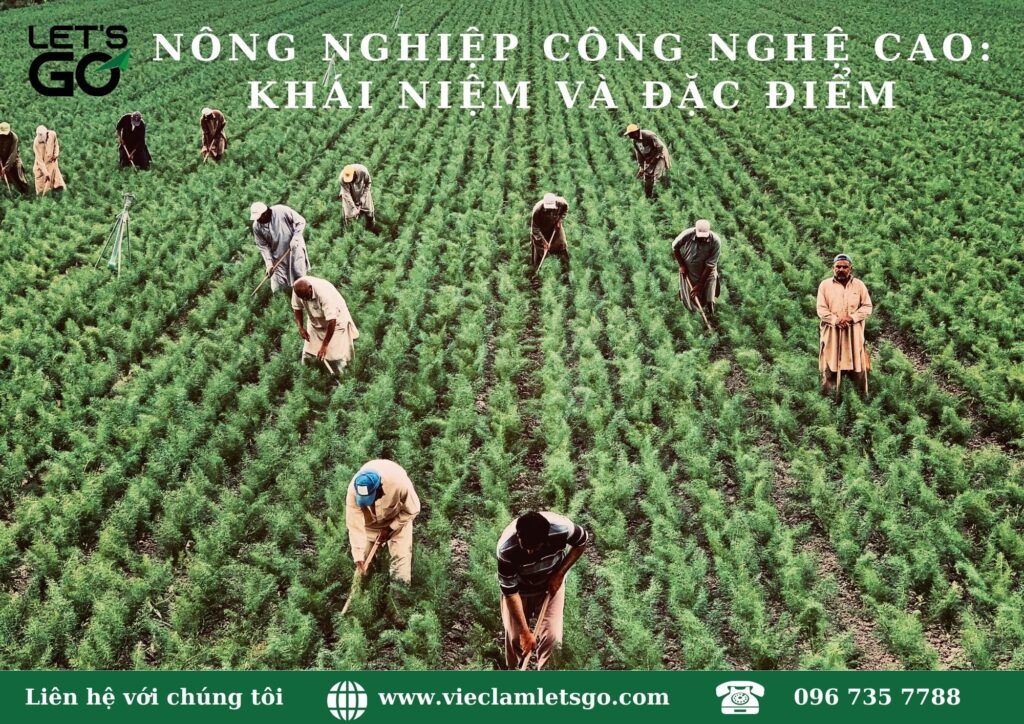 lao động mùa vụ