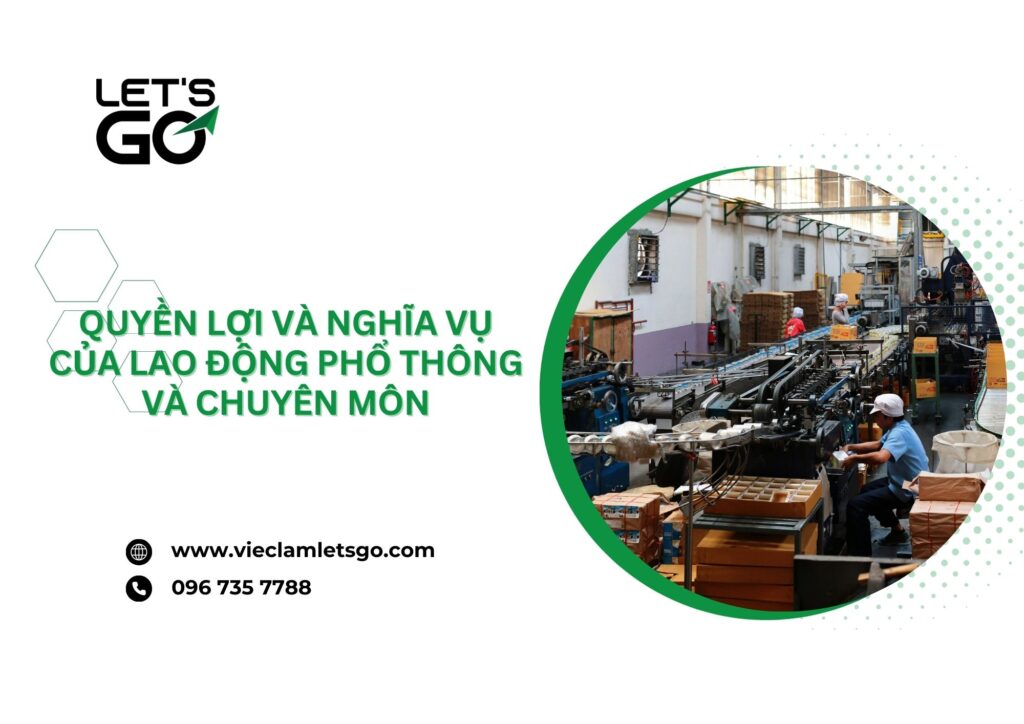 Quyền lợi và nghĩa vụ của lao động phổ thông và chuyên môn