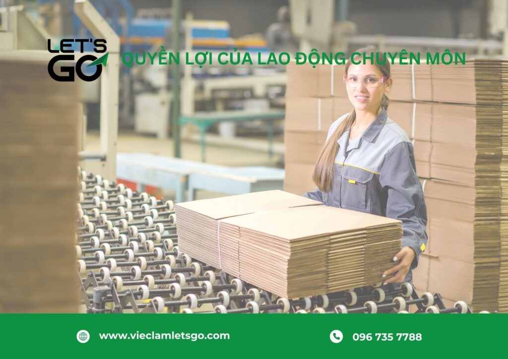 Quyền lợi của lao động chuyên môn