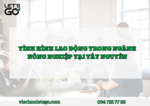 Tình hình lao động trong ngành nông nghiệp tại Tây Nguyên