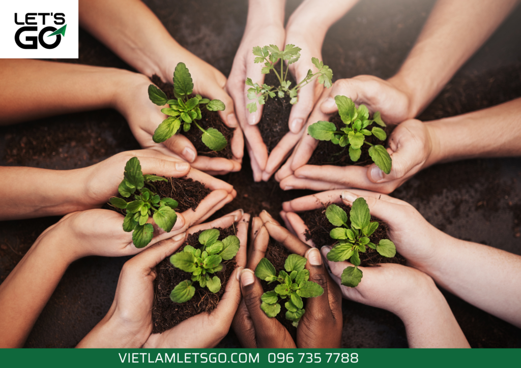 lao động tạm thời