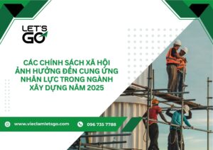 Các chính sách xã hội ảnh hưởng đến cung ứng nhân lực trong ngành xây dựng năm 2025