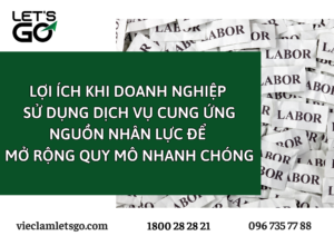 LỢI ÍCH KHI DOANH NGHIỆP SỬ DỤNG DỊCH VỤ CUNG ỨNG NGUỒN NHÂN LỰC ĐỂ MỞ RỘNG QUY MÔ NHANH CHÓNG NĂM 2030