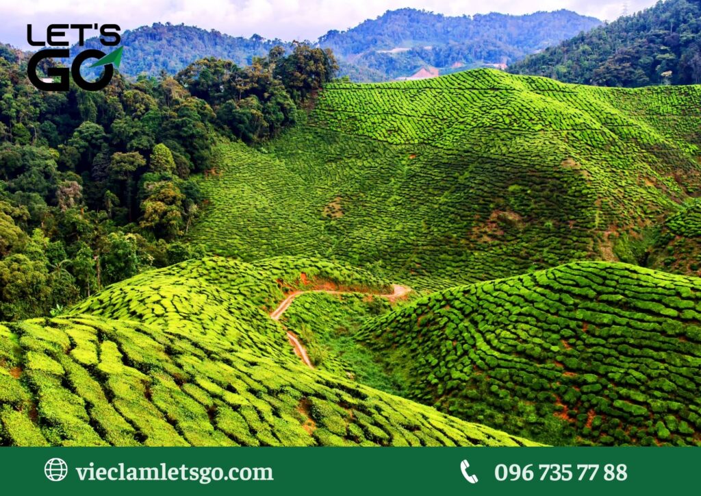 Thử thách tuyển dụng tại các tỉnh miền Trung Tây Nguyên