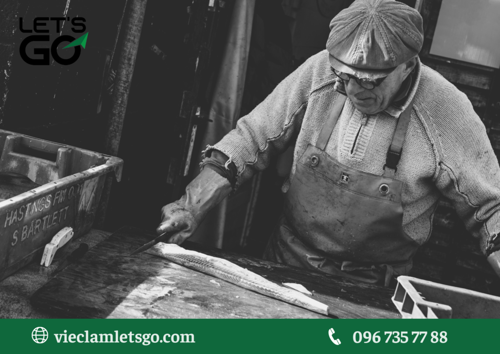 Cung cấp chất lượng lao động cao cấp tại các thành phố lớn