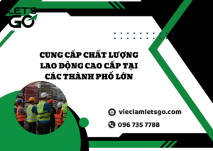 Cung cấp chất lượng lao động cao cấp tại các thành phố lớn