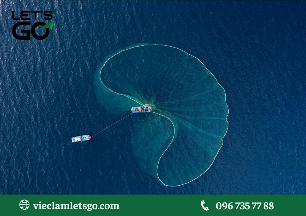 Cung ứng lao động phổ thông tại Bình Định và Phú Yên