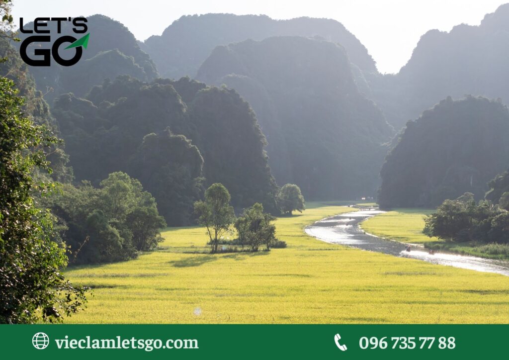 Lao động phổ thông trong sản xuất chuyên ngành tại Bình Dương