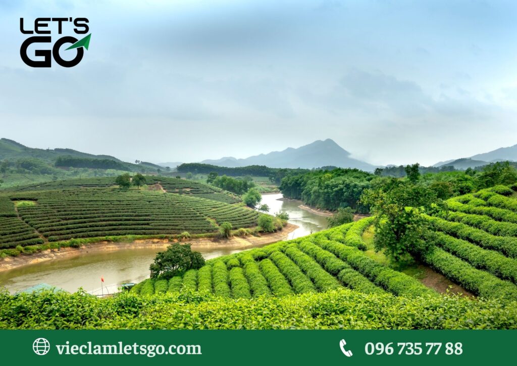 Nhu cầu lao động trong ngành nông nghiệp tại Nghệ An