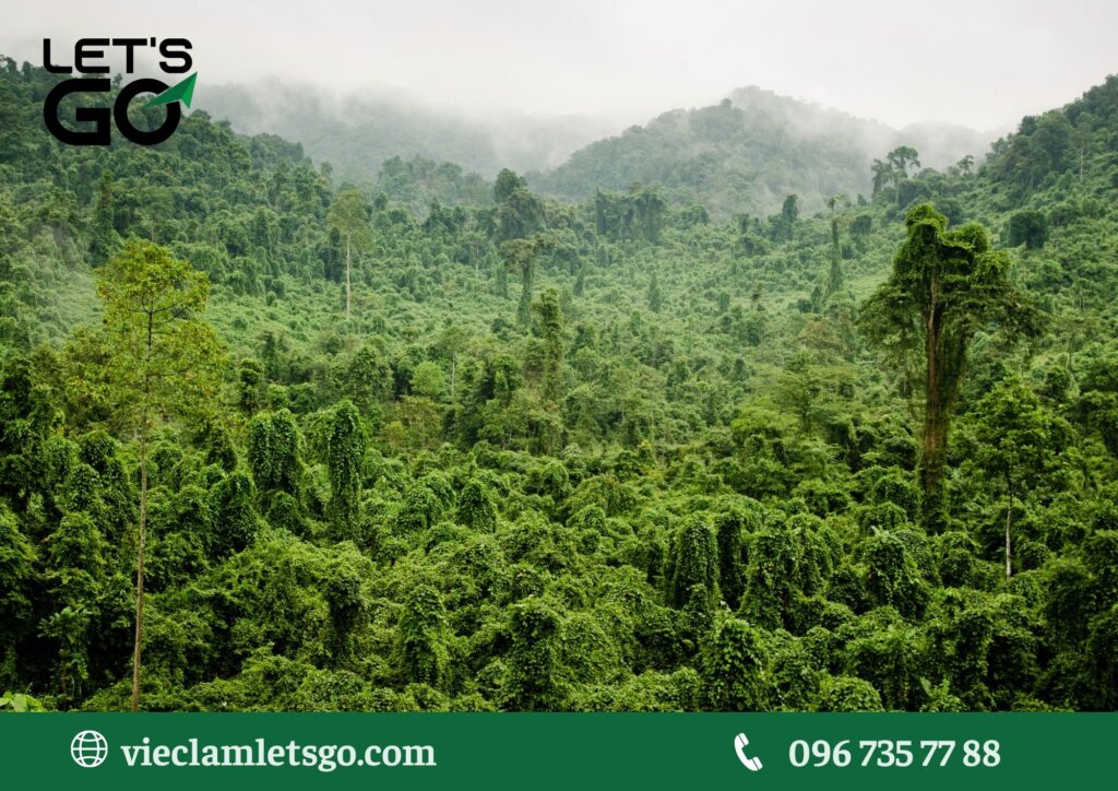 Thị trường việc làm tại các tỉnh Tây Nam Bộ