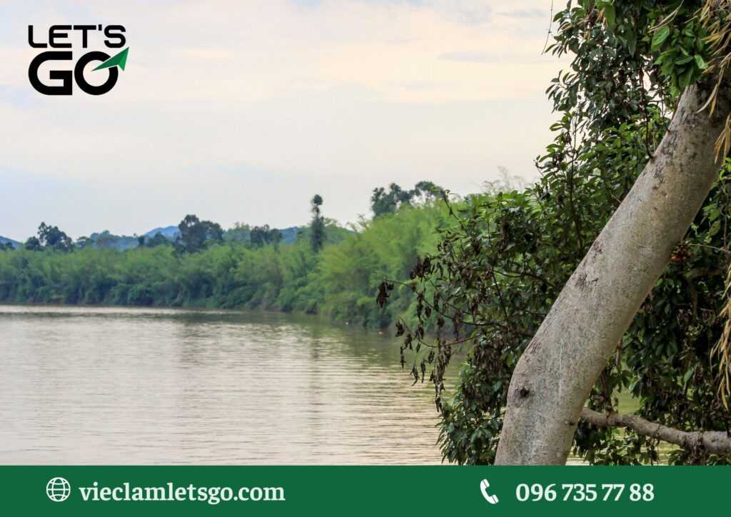 Tình hình lao động và tuyển dụng tại Đồng Nai