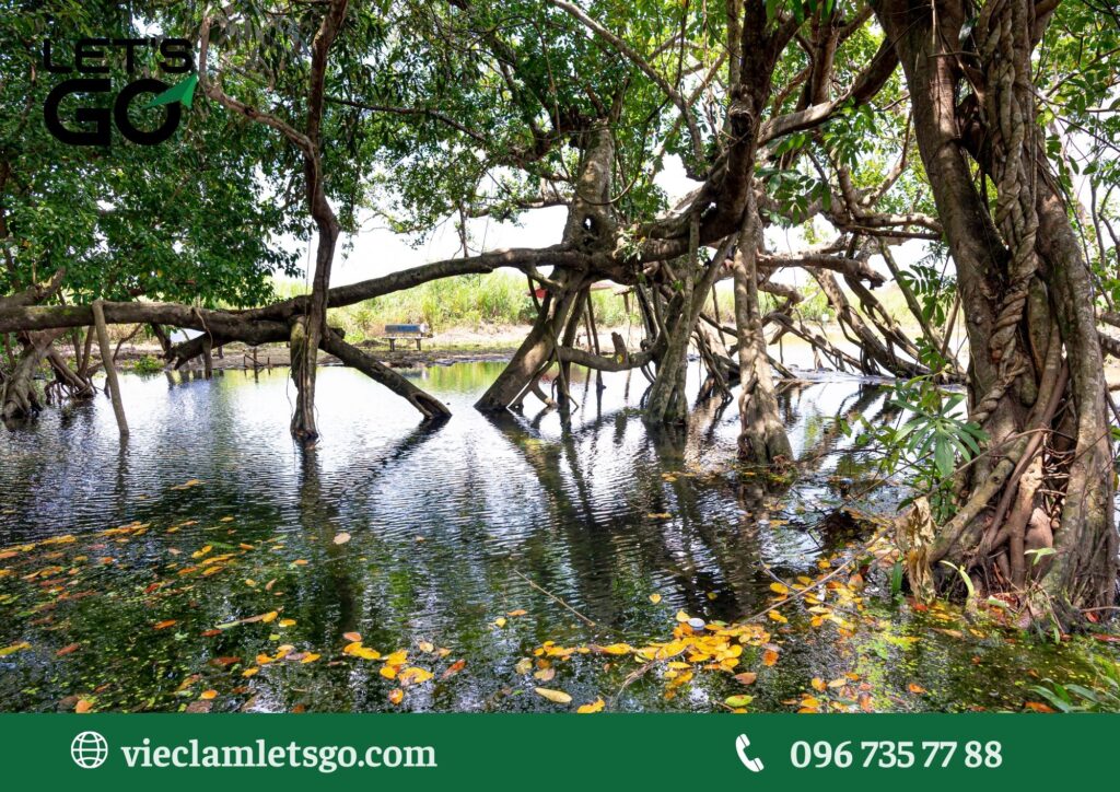 Tình hình lao động và tuyển dụng tại Đồng Nai