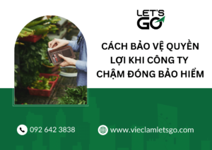 Cách bảo vệ quyền lợi khi công ty chậm đóng bảo hiểm